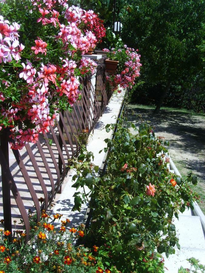 Casa Lieta Bed & Breakfast Subiaco Bagian luar foto
